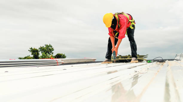 Best Roof Coating and Sealing  in Peru, IL